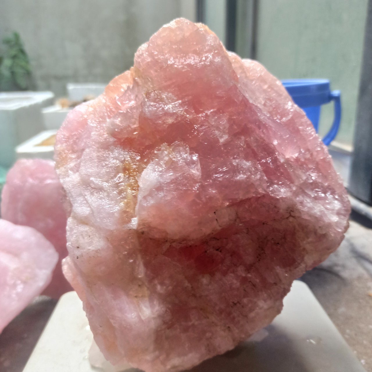01 Viên Hồng Raw Rose BigSize (3-5kg)