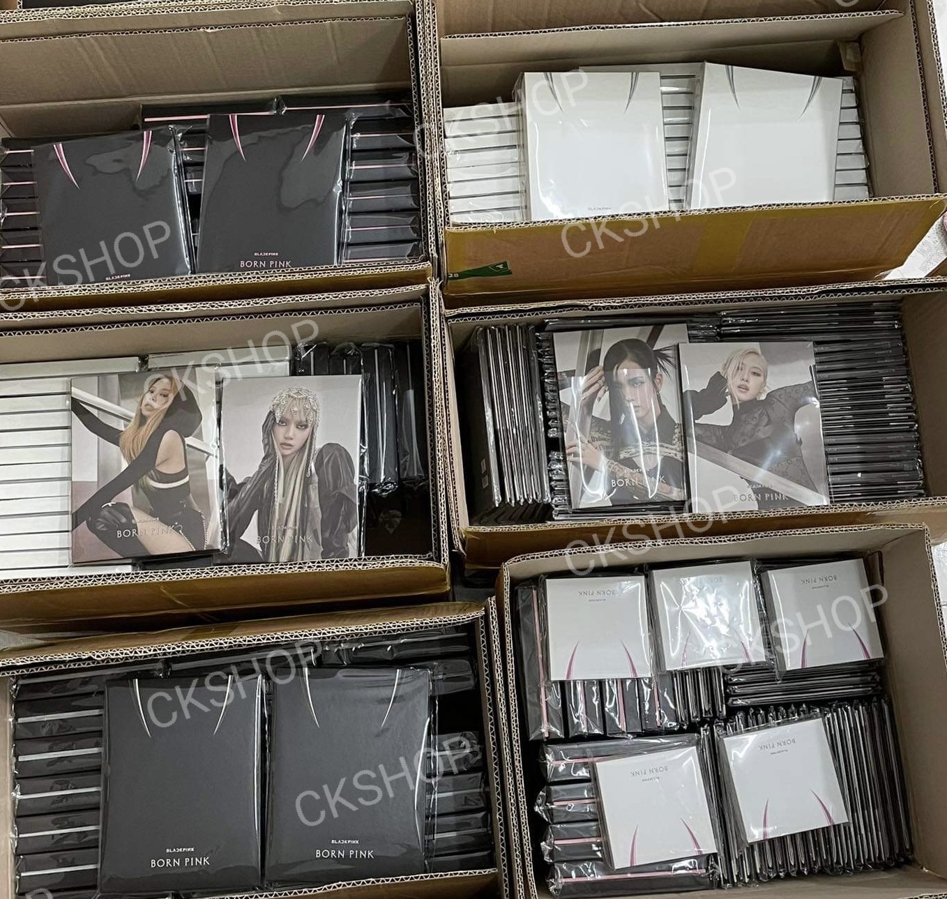 Bộ ảnh blackpink born pink digipack được chọn bìa