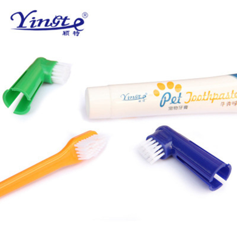 Bộ Đánh Răng Kem Đánh Răng Bàn Chải Đánh Răng Chó Mèo Pet Joothpaste