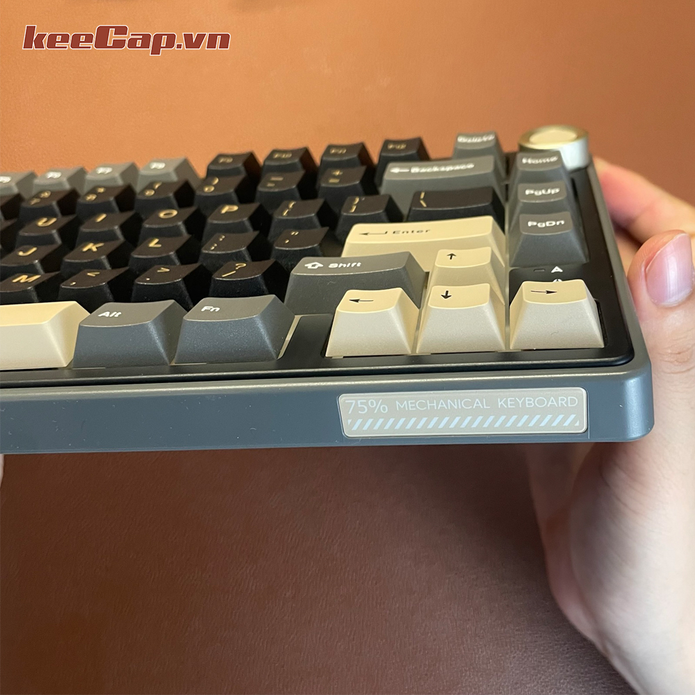 [KEECAP] Royal kludge RK R75 color Phantom mechanical keyboard (1 mode – hotswap – linear switch)