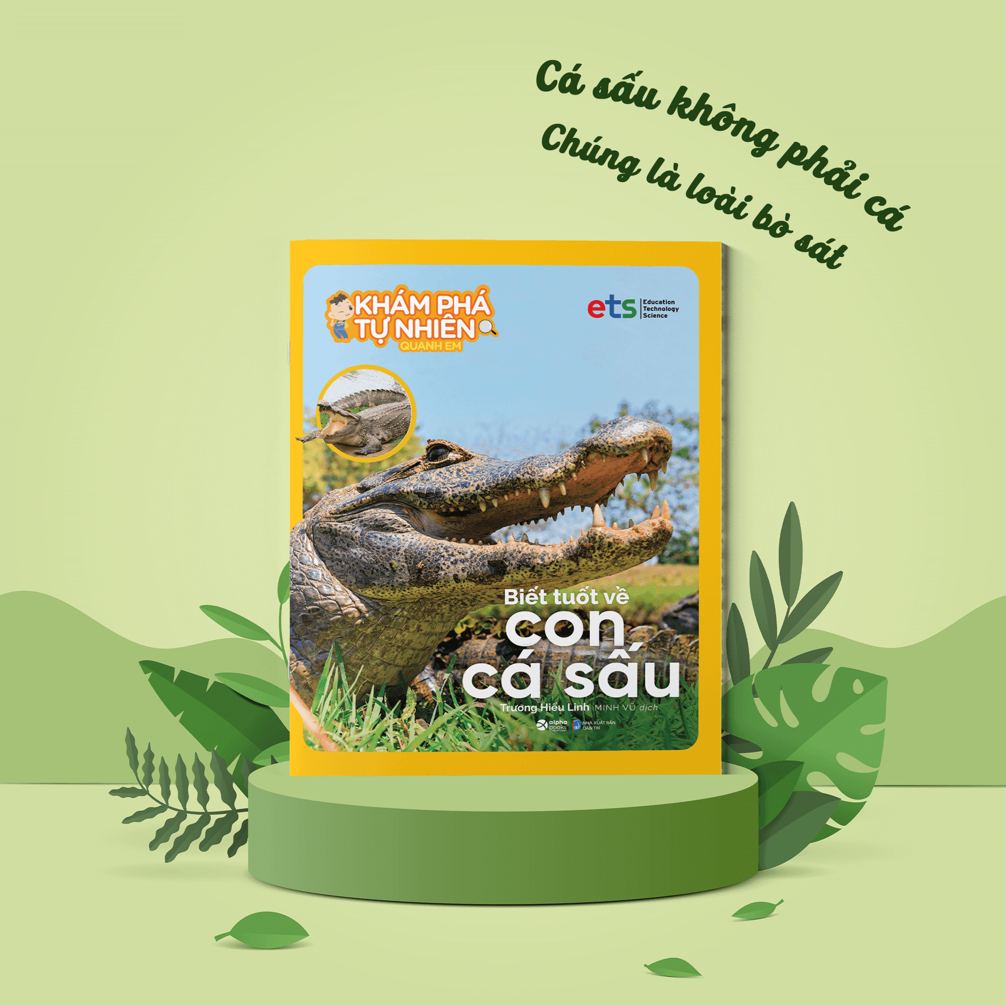 Sách - Combo 12 Cuốn: Bộ Khám Phá Tự Nhiên Quanh Em