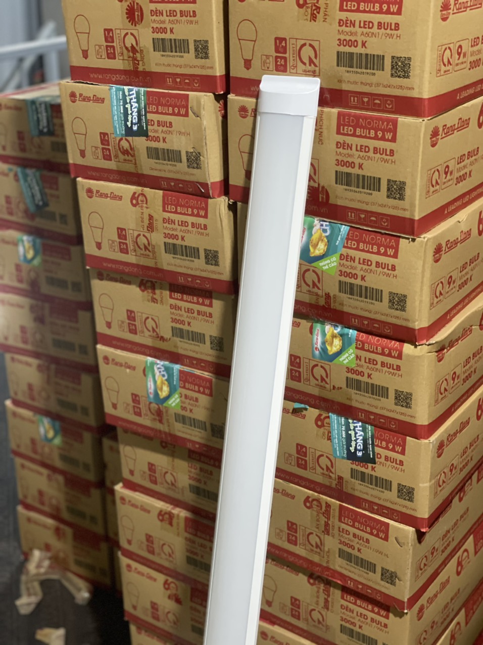 Đèn Tube LED TRÀN VIỀN (oval ) paragon