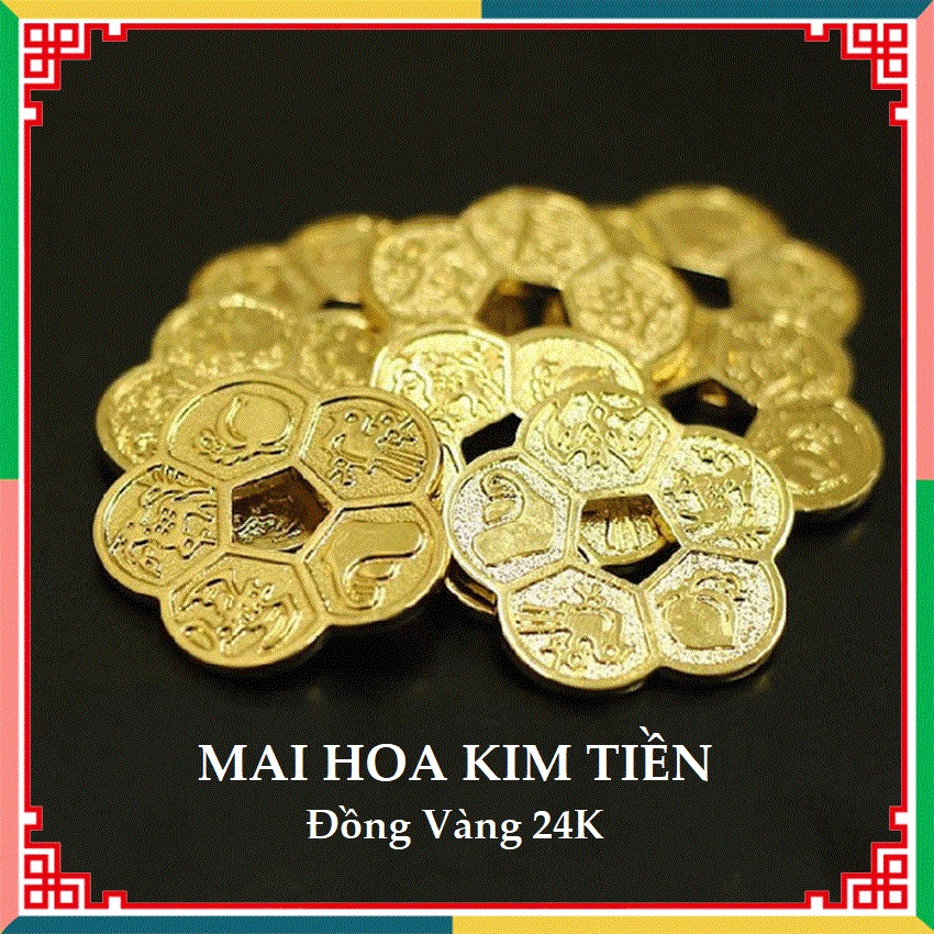 Đồng Xu Hoa Mai Kim Tiền