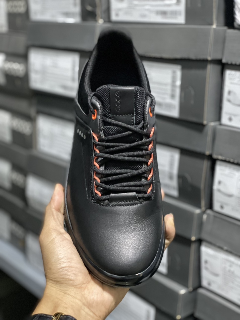 [SOCKS GIFT][BIG SALE] ECCO Golf M Street MEN