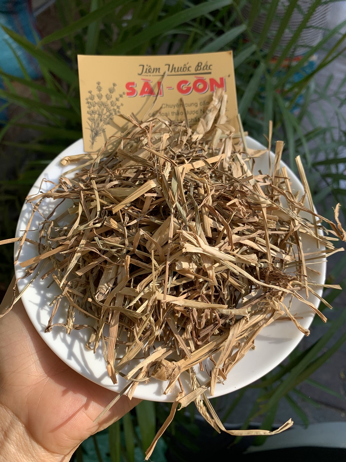 [HCM]CỎ MẦN TRẦU 100 GRAM Tiệm Thuốc Bắc Sài Gòn