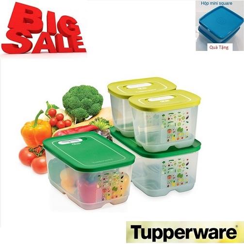 Bộ hộp trữ mát Vensmart 4 hộp Tupperware