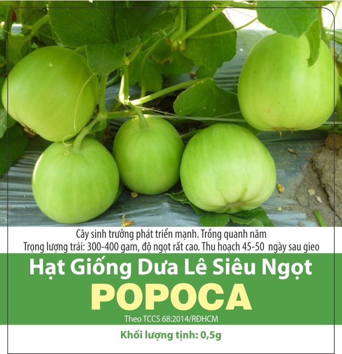 Hạt giống dưa lê Popoca RD gói 0.5gr