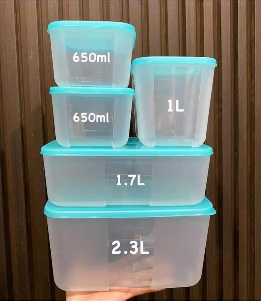 Bộ Hộp Tupperware Trữ Đông Paradise (5 hộp)