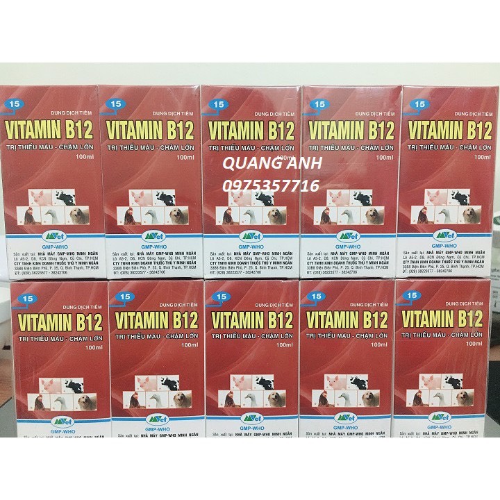 [FreeShip] Phân Bón Vitamin B12 Hoa Cây Cảnh - chai 100ml