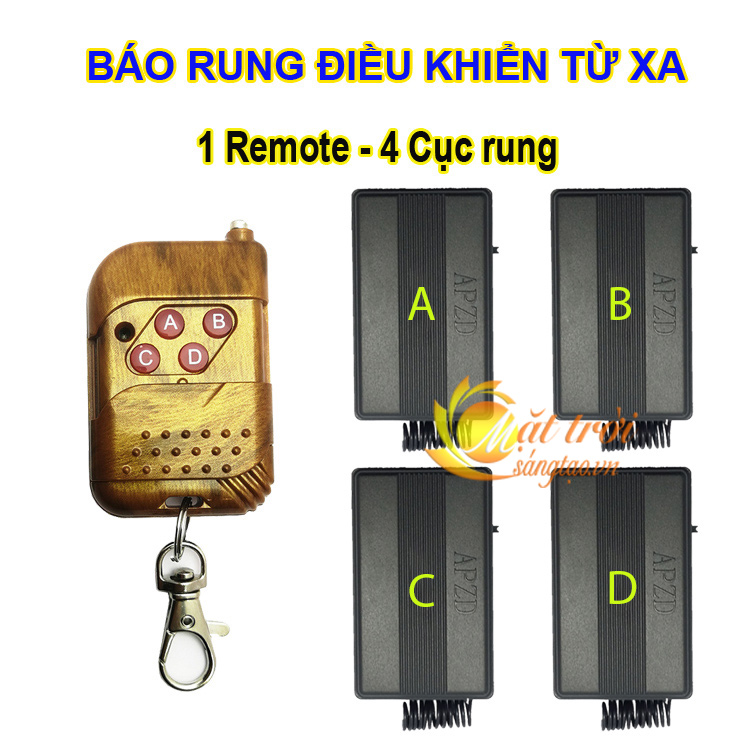 Remote Control Vibrating Alarm