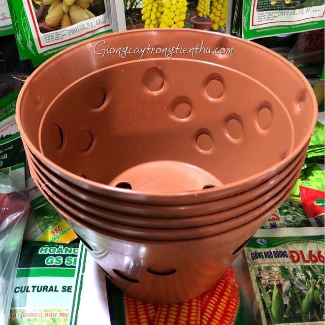 5 CHẬU NHỰA TRỒNG LAN GIẢ GỐM ĐẤT NUNG (Phi 23)