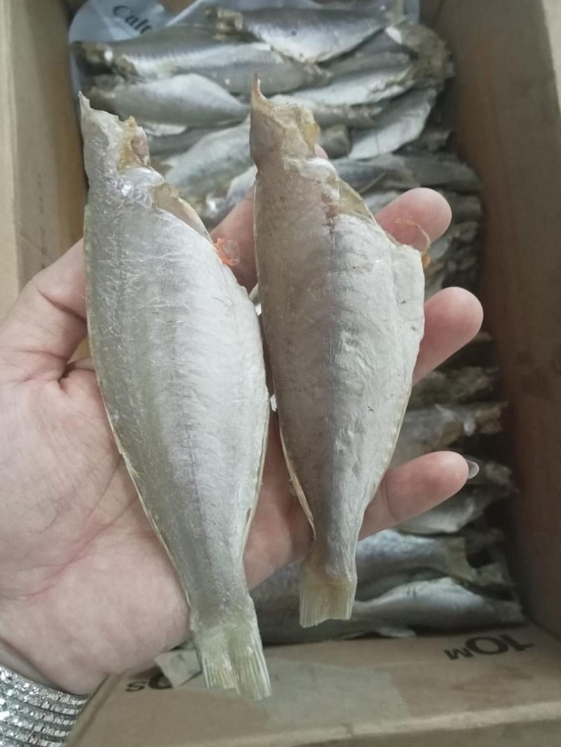 KHÔ CÁ ĐỔNG MƯỚT CHẮC THỊT - THƠM NGON ĐẶC SẢN CÀ MAU
