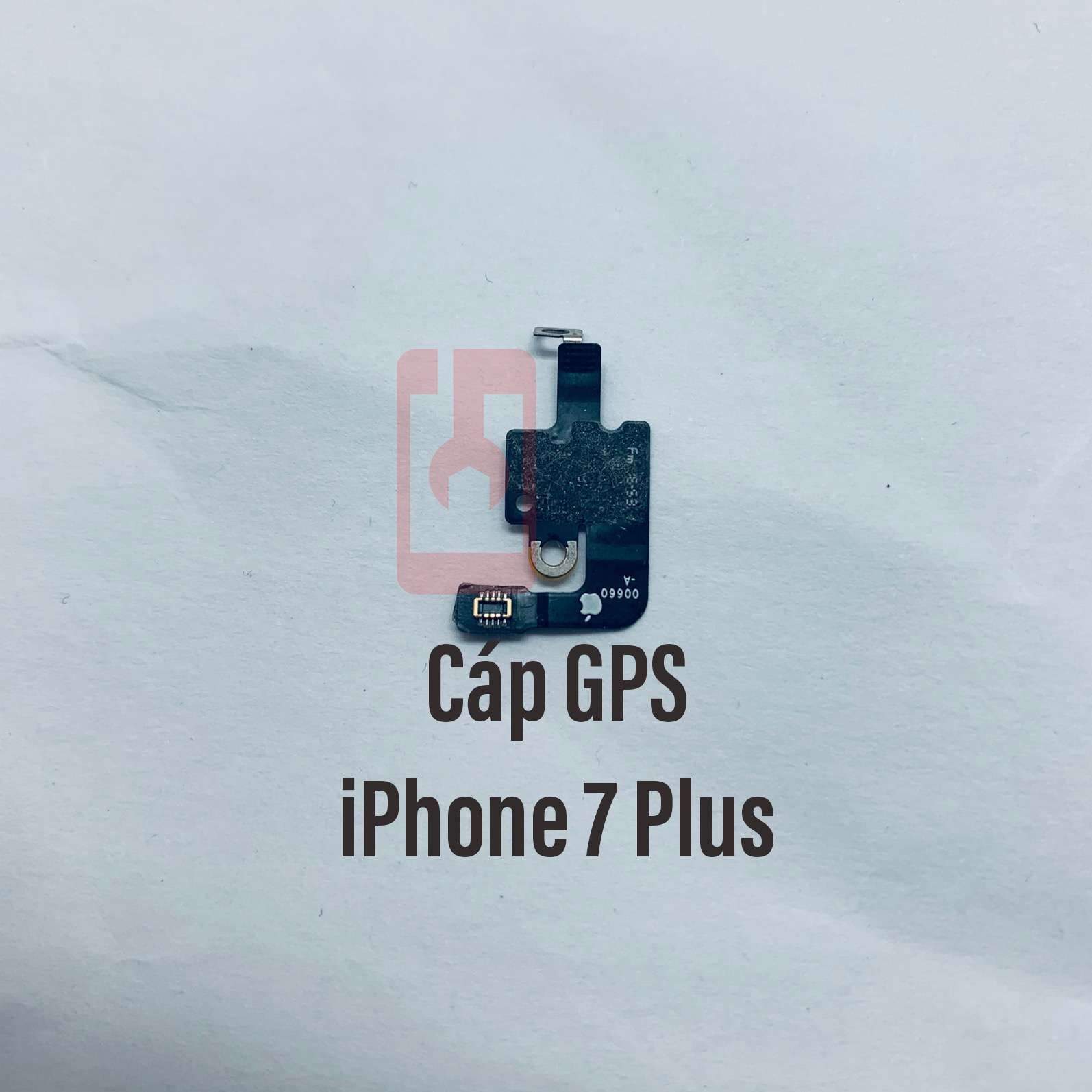 Cáp Wifi Bluetooth IP 7 Plus