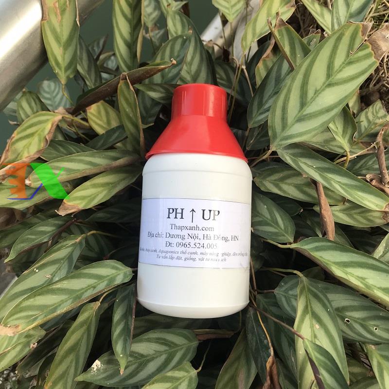 Solution increase the pH phu-500 ML, pH Up, regulating align the pH of the water