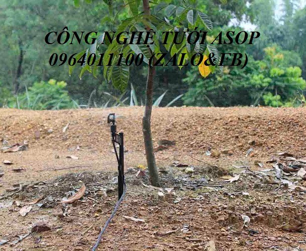 30 Cây cắm béc tưới 33cm