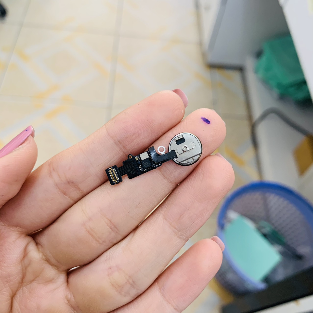 Nút home vật lý táo 7 plus