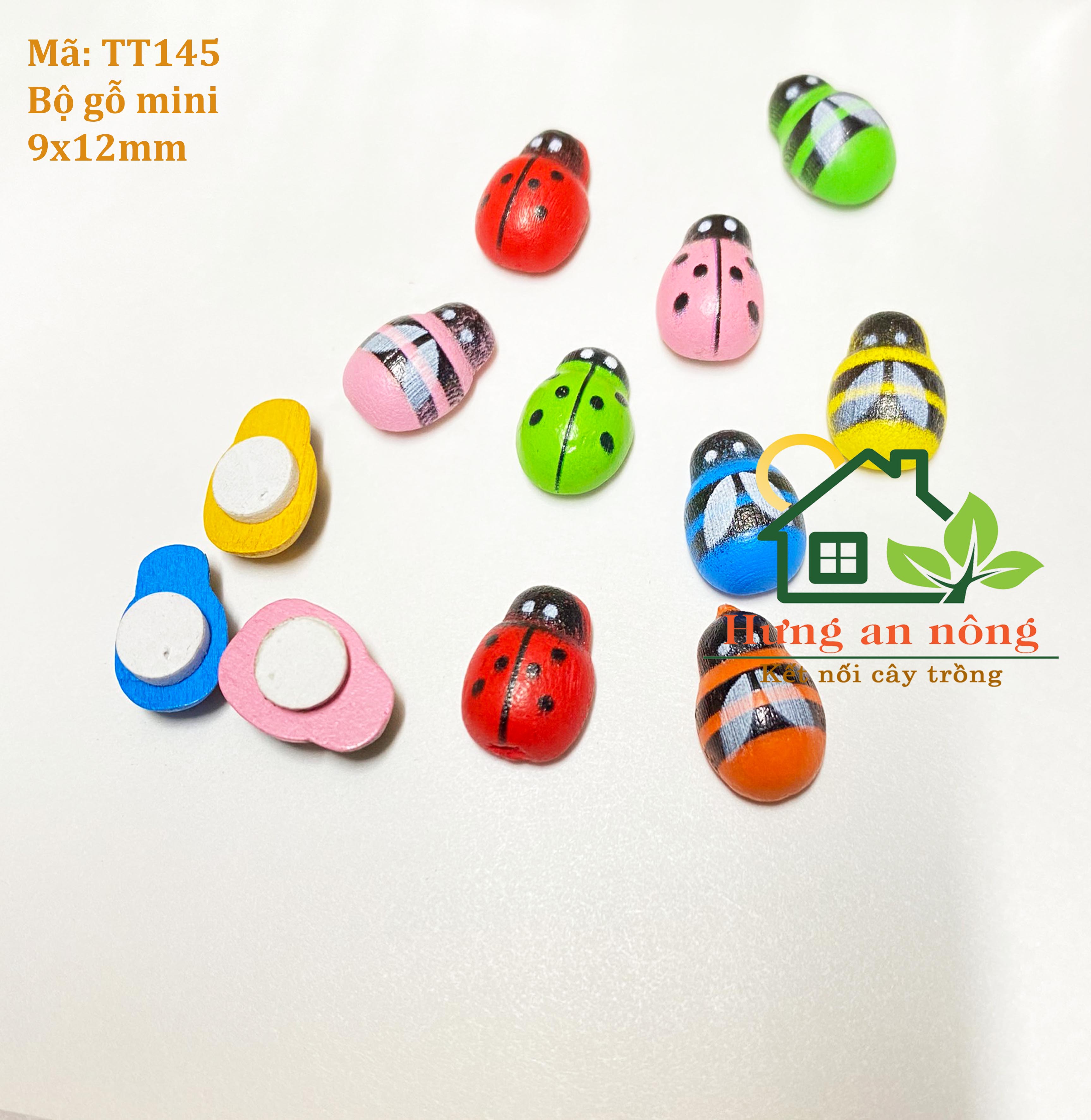 TT145 - sét 50/100 bọ gỗ cánh cứng, ong màu có keo dáng dùng trang trí size 9x11mm( xem trong mô tả giúp )