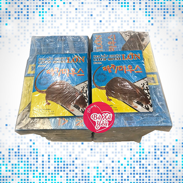 Combo 10 Miếng Keo Bẫy Chuột Lớn Catch Mouse Korea
