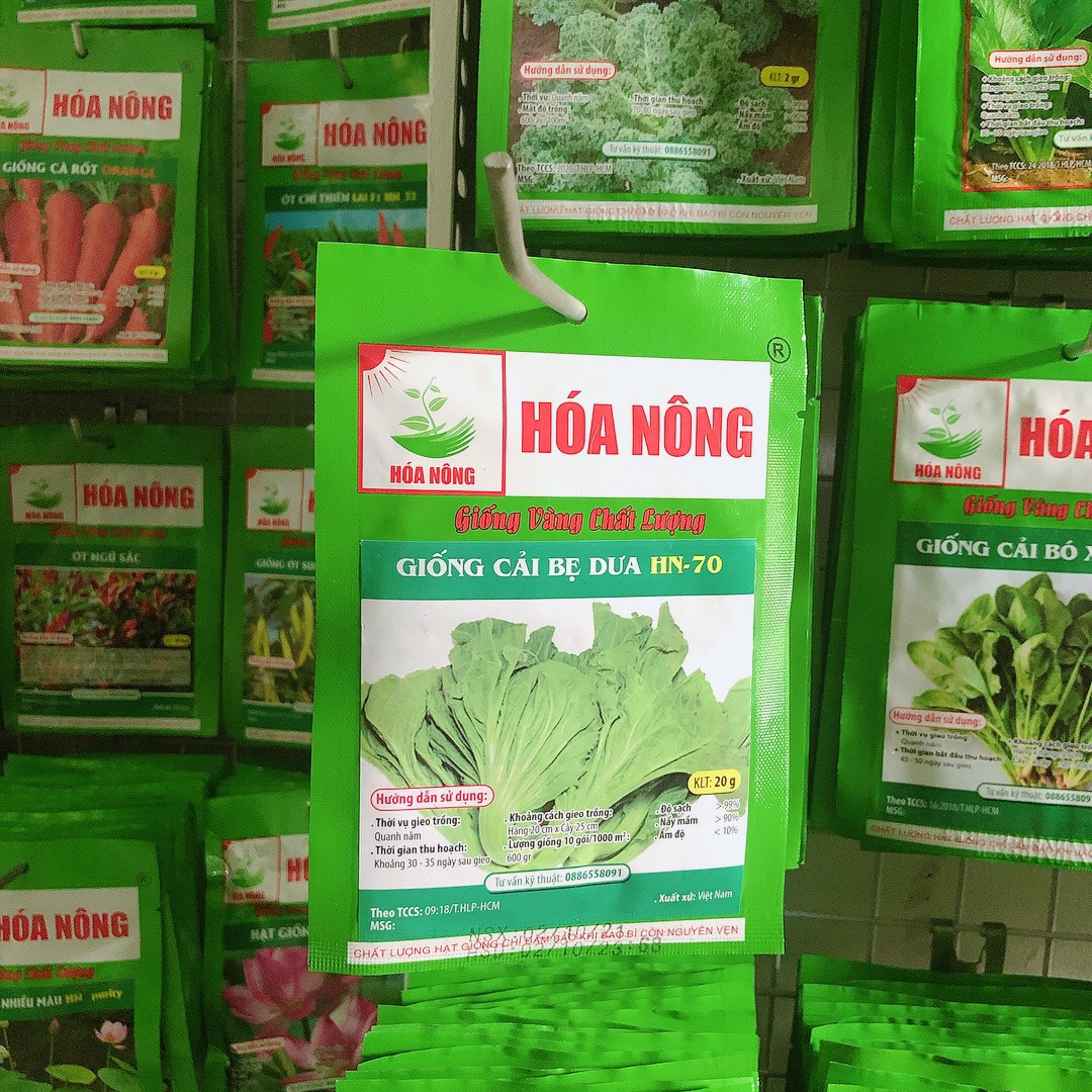 Giống rau cải bẹ dưa hn-70 (20gr)