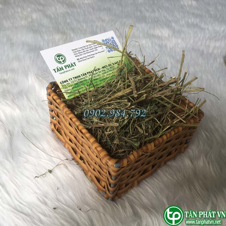 [Túi Lớn 1KG] Diệp hạ châu khô 1kg , Cây chó đẻ khô - Hàng khô cao cấp chuyên dùng để pha trà - Hỗ trợ thanh nhiệt và giải độc
