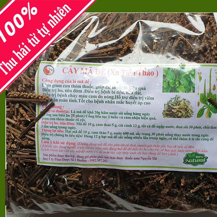 [HCM]500GR cây mã đề - Xa tiền thảo