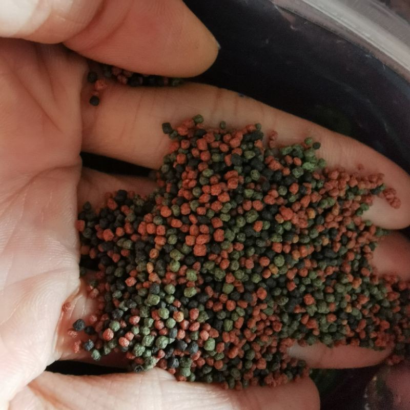 Thức ăn cho cá Sakura gold 500g(B 1mm)