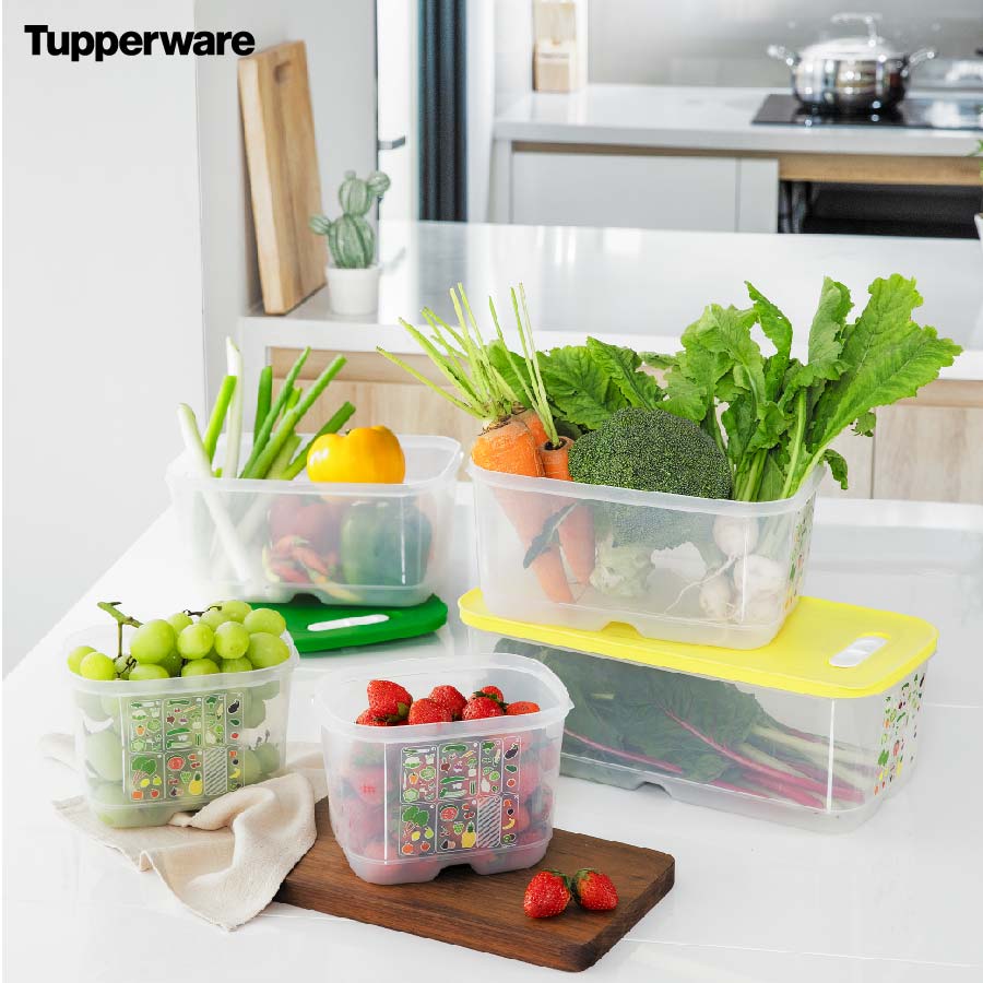 Bộ hộp trữ mát có nút hô hấp Tupperware Ventsmart (Set 5)