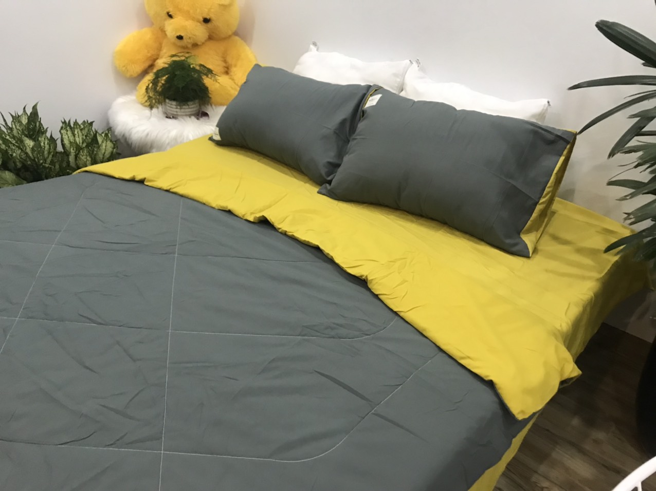 Bộ Chăn Ga Gối Cotton TiCi ( gồm 1 chăn hè đã chần bông, 1 ga và 2 vỏ gôi nằm )