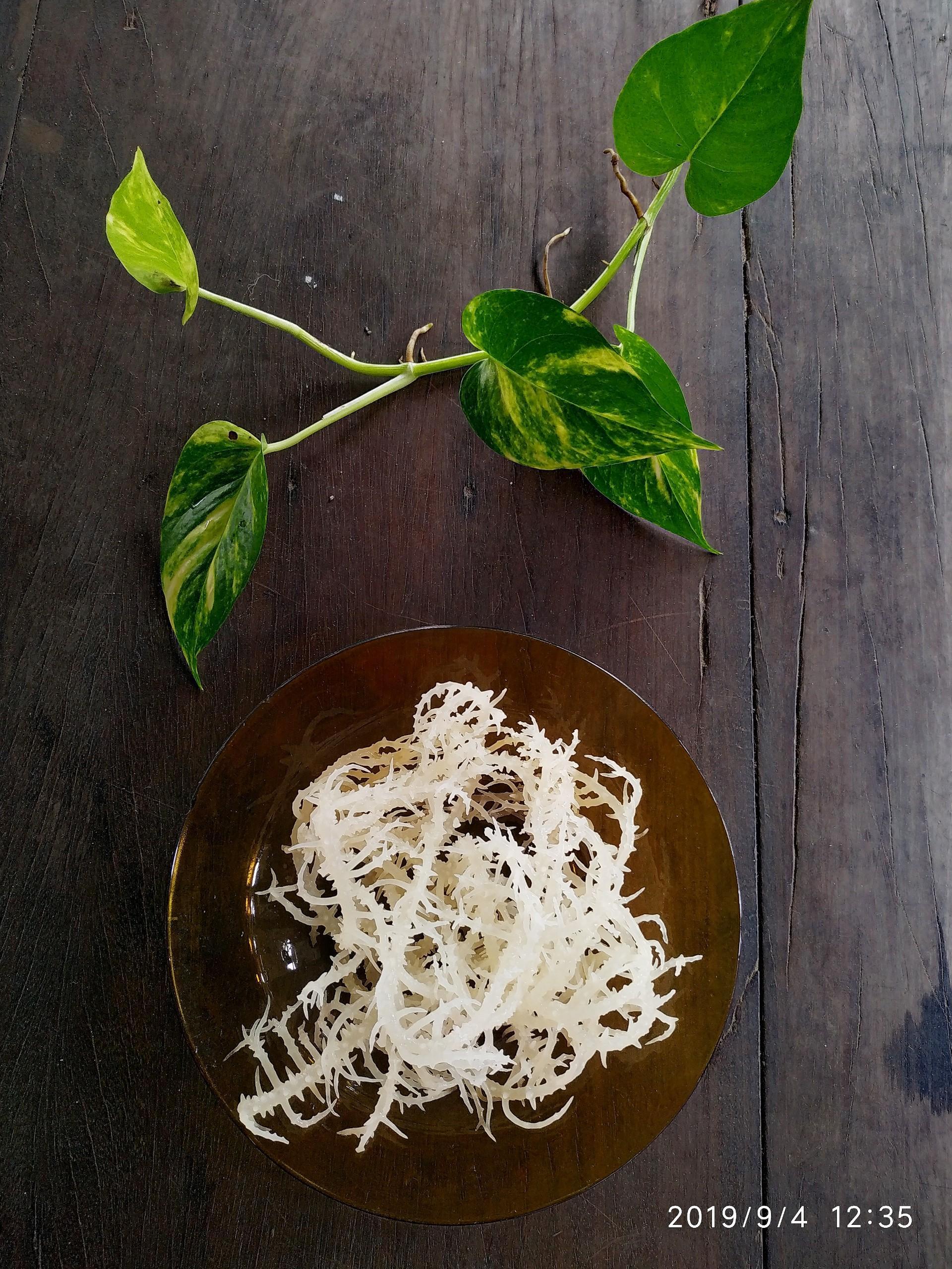 Rong sụn gai ngon sần sật loại 1 (1KG )