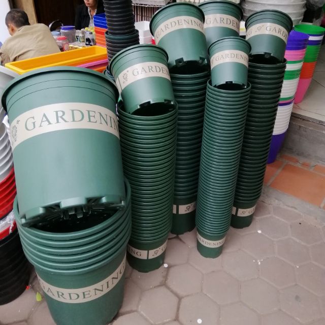 {VIP}Combo 5 chậu 5gallon MONROVIA siêu đẹp