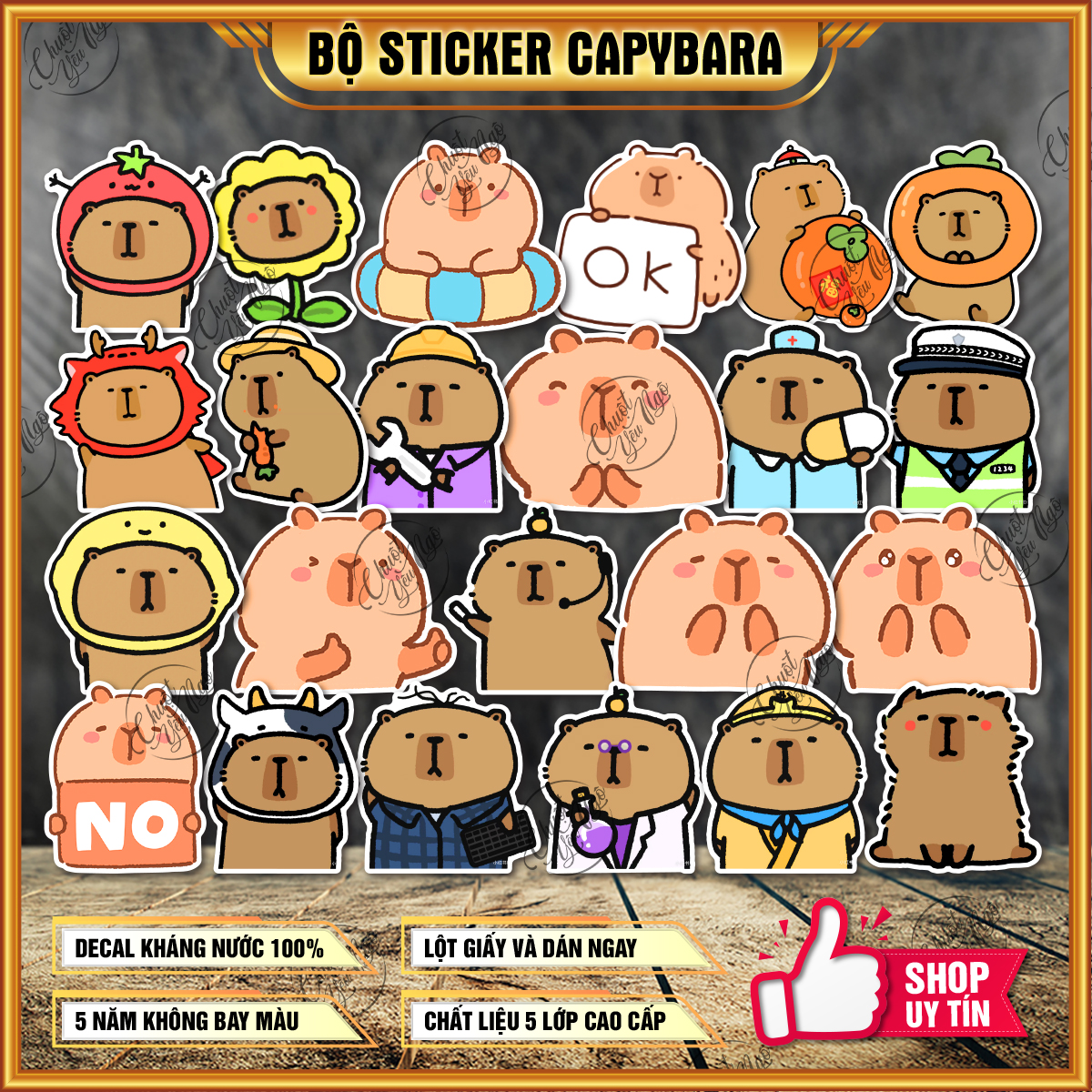 Combo 100 sticker CHUỘT LANG NƯỚC hình dán capybara dễ thương decal chống thấm nước meme dán sổ