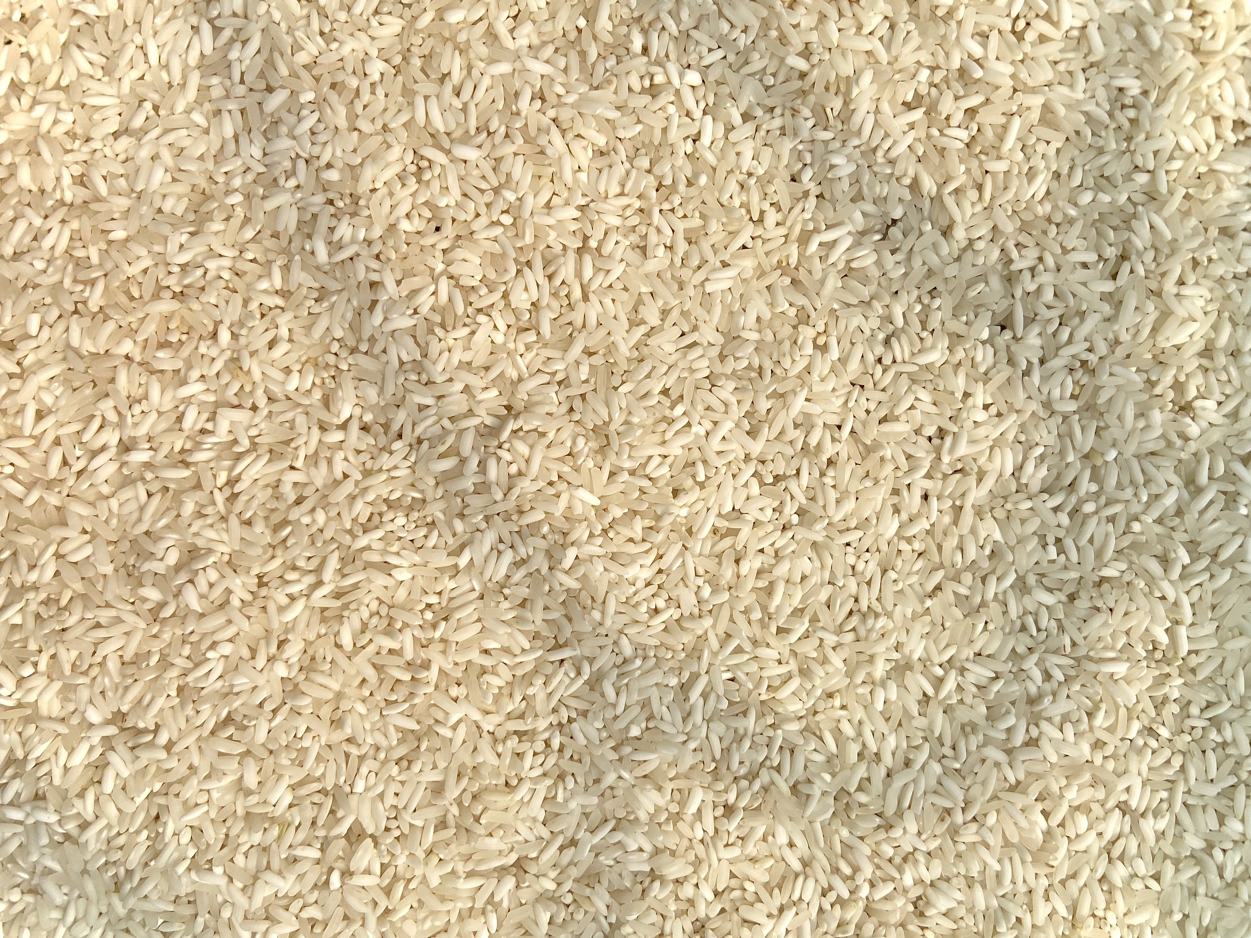 Gạo Séng Cù Điện Biên 1kg