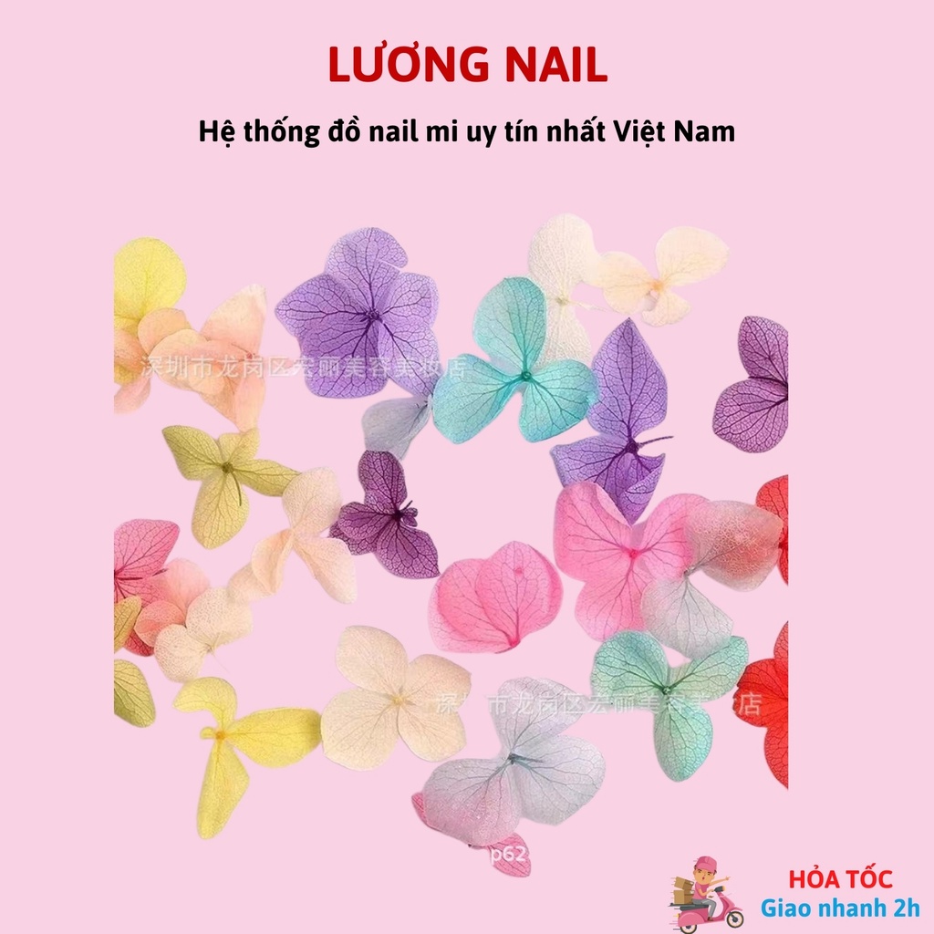 Hoa khô lụa trang trí nail ẩn gel khay 12 màu