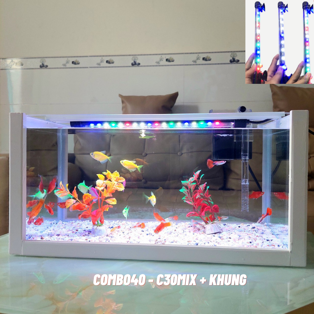 Bể cá mini 40cm COMBO đầy đủ phụ kiện
