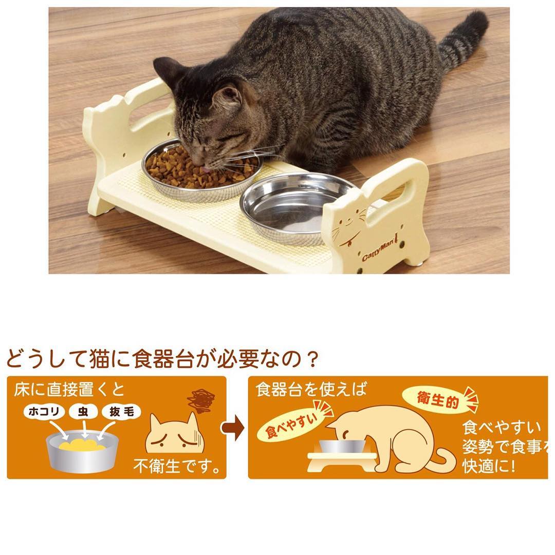 [HCM]Bàn Ăn Gỗ Cattyman Dành Cho Mèo Cưng