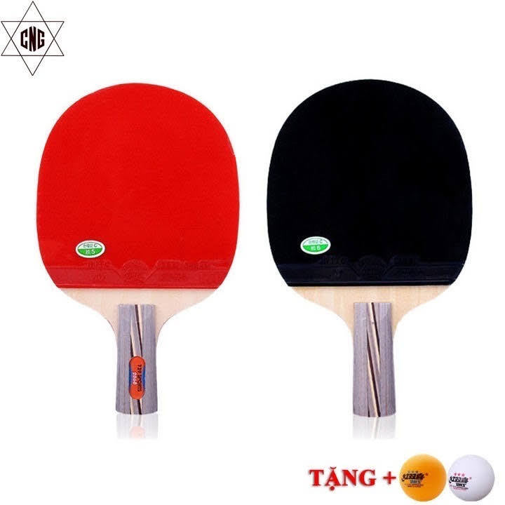 [TẶNG BÓNG] Vợt Bóng Bàn 729 -2040 Cao Cấp