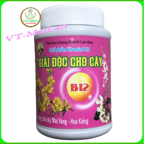 Vitamin B12 Giải Độc Cho Cây Hủ 100ml
