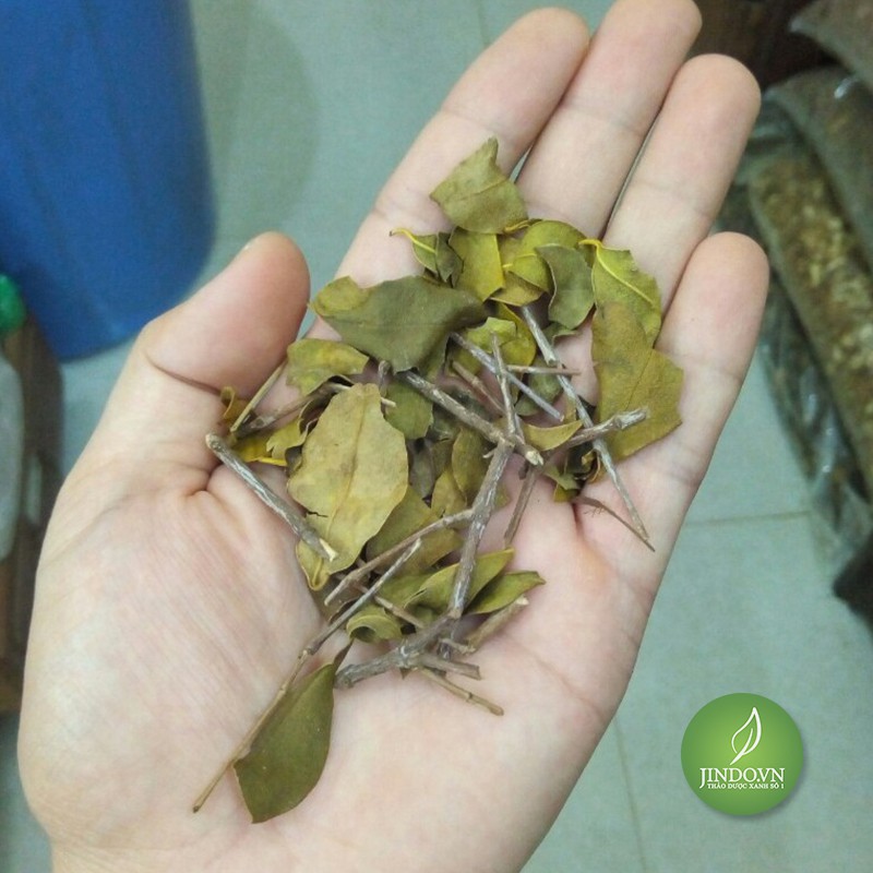 Tang ký sinh 1kg  EG336