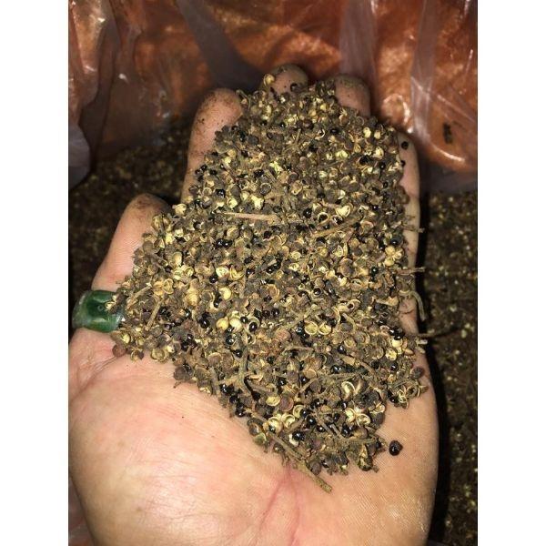 Mắc Khén 50gr Giá Dùng Thử