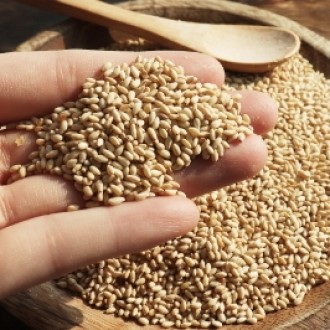 Hạt Mè Rang Singsong Hàn Quốc 230g