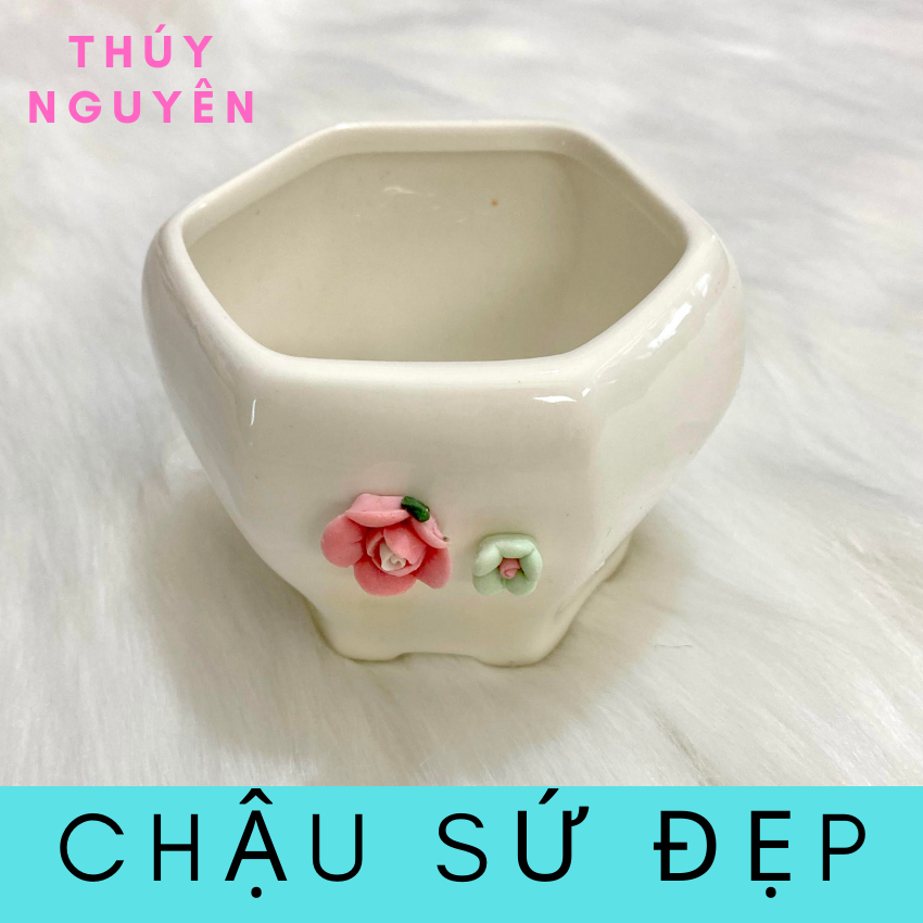 Chậu gốm sứ mini trồng sen đá