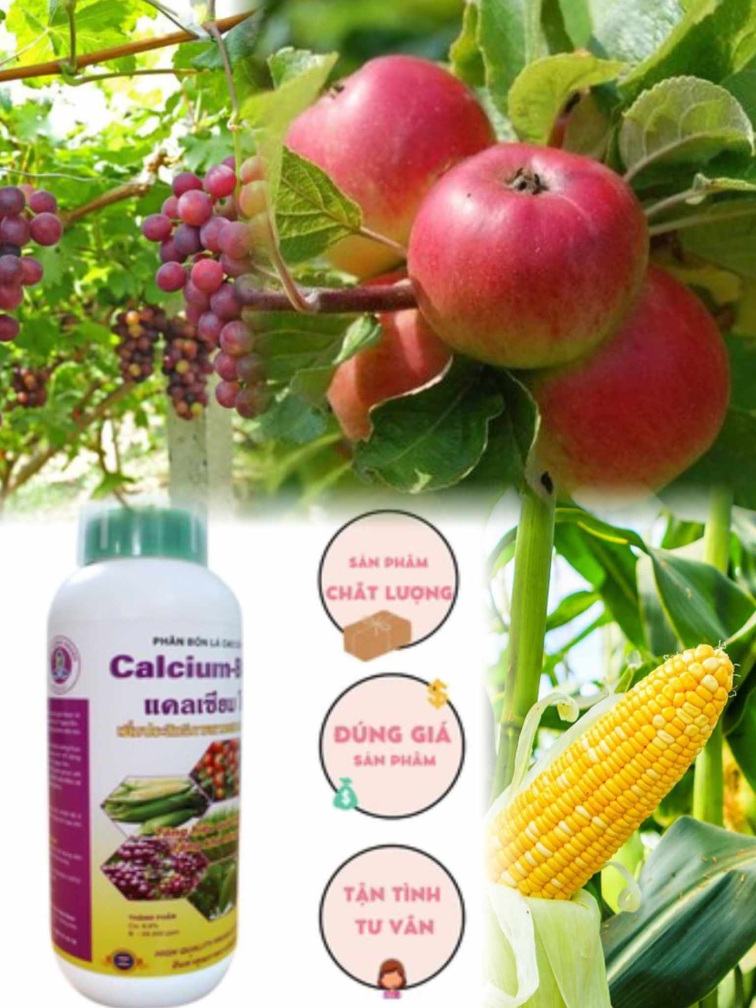 Phân bón lá sinh học Calcium BORON 500ml, Sitto Việt Nam