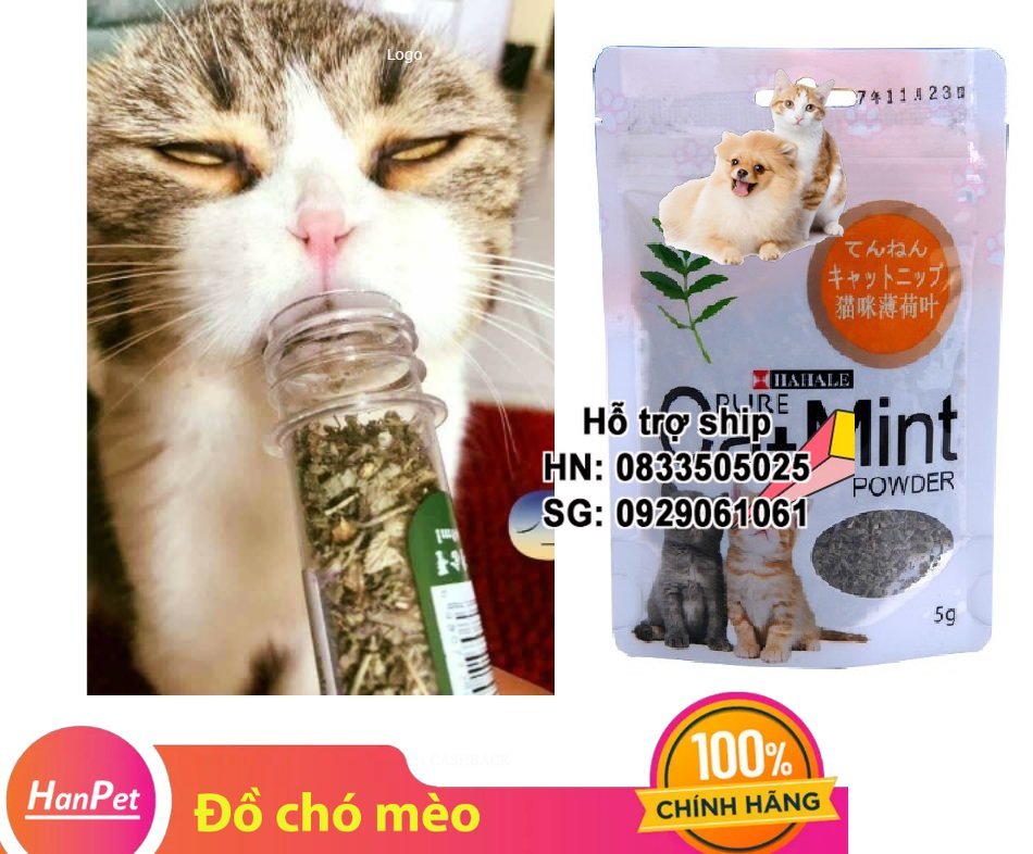 Hanpet - Chống búi lông tắc ruột trên mèo (gói 5gr catmint) Cỏ mèo ngửi Catnip cỏ bạc hà cho mèo phê