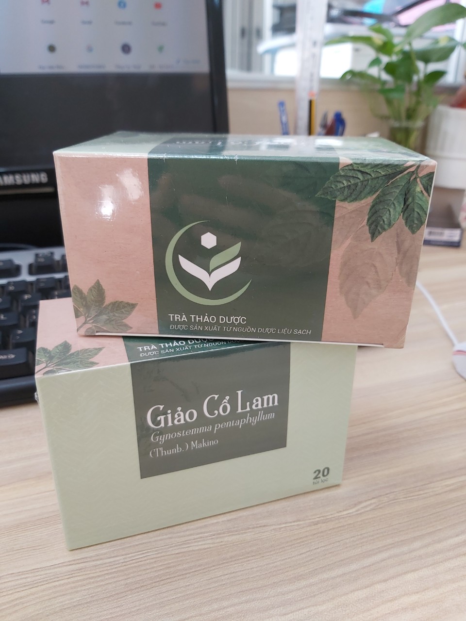 Trà túi lọc Giảo cổ lam