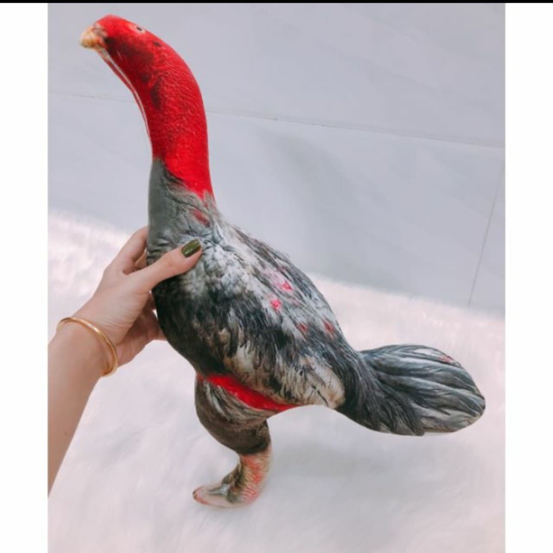 Thú bông 3D cao cấp -(đồ chơi) hinh thật