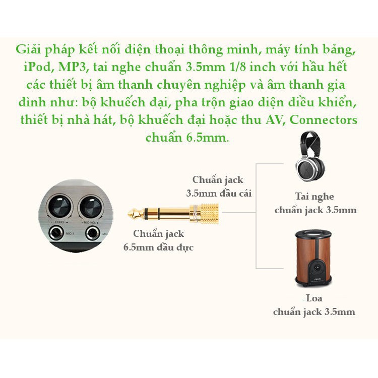 [HCM]Jack Chuyển 6.5mm Ra Chân 3.5mm Cái ( UGREEN 20503 )