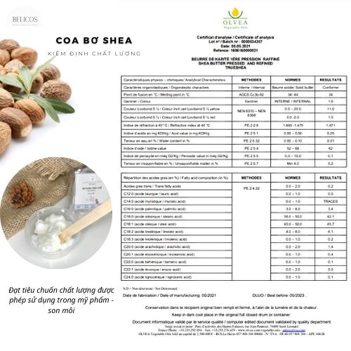 Bơ Hạt Mỡ - Bơ shea làm son môi - Shea Butter