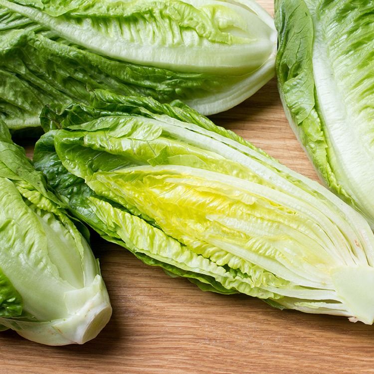 Hạt Giống Xà Lách Romaine (2gr)