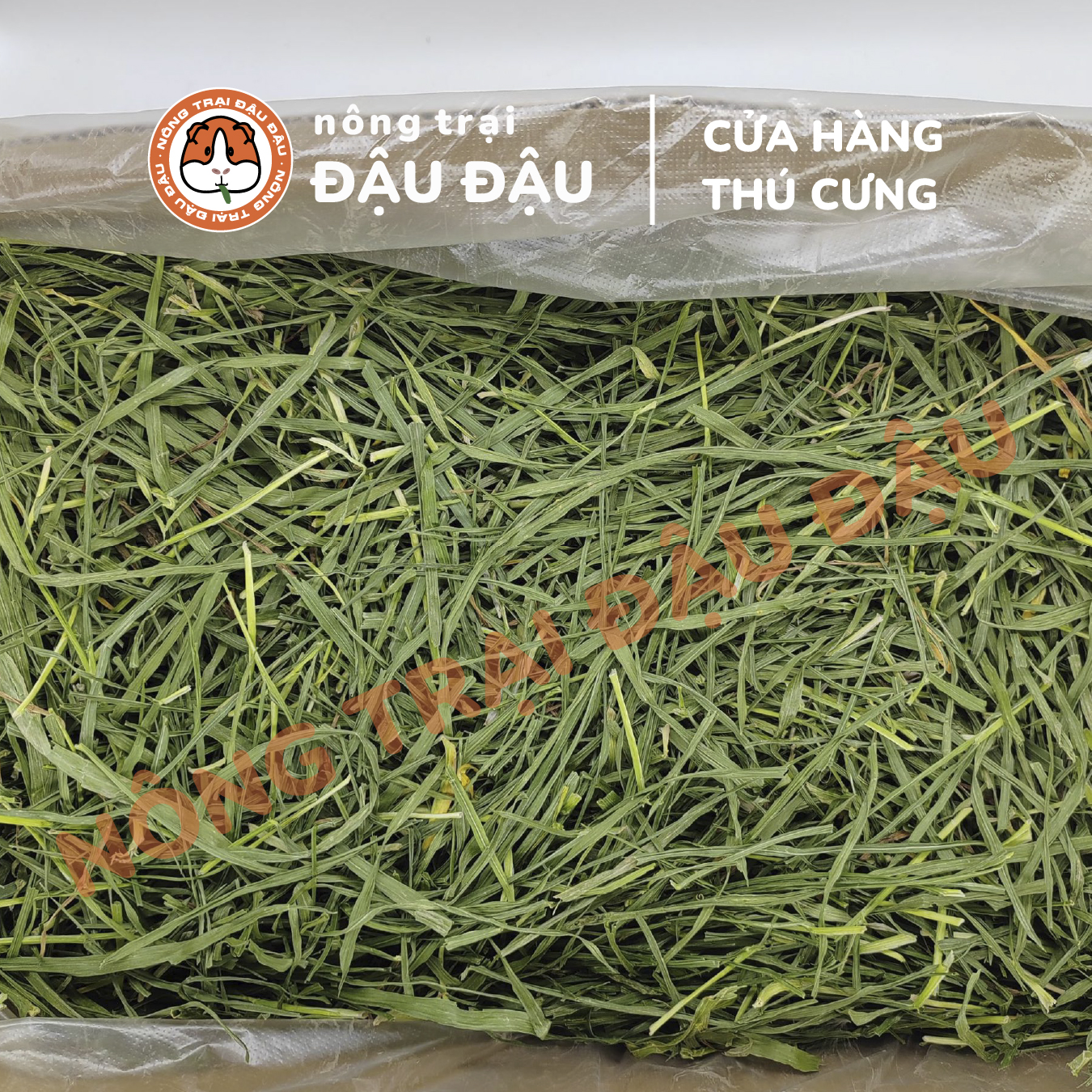 Cỏ Lúa Mì Cho Thỏ, Bọ Ú, Chinchilla Giàu Chất Xơ 50g