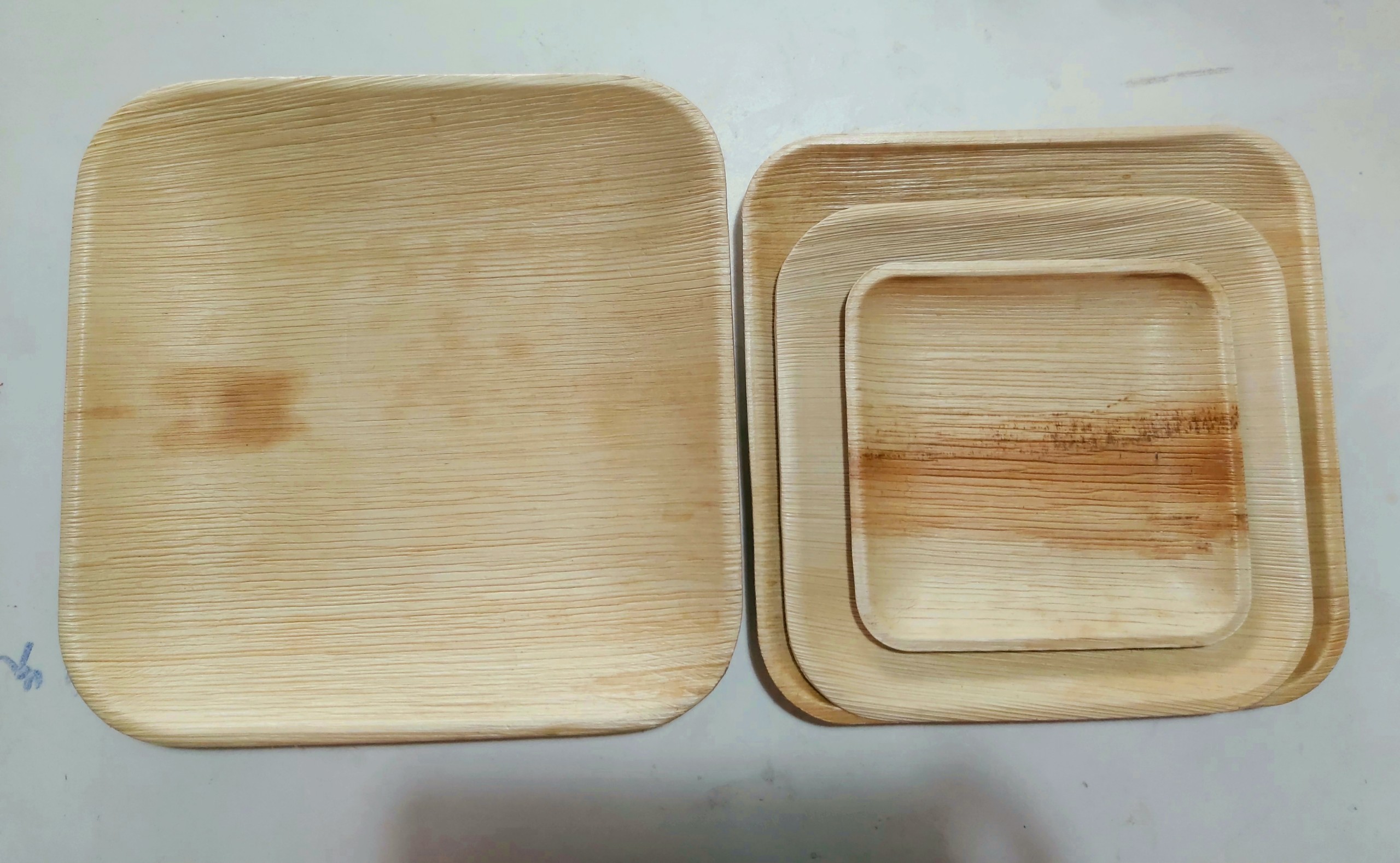 Combo 10 ĐĨA MO CAU VUÔNG dùng 1 lần thân thiện với môi trường